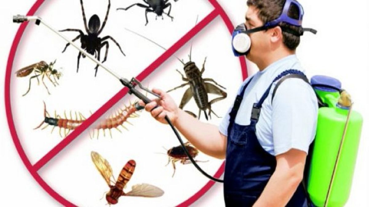 Çankırı böcek ilaçlama uygulaması